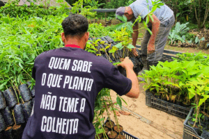 Employees of Fazenda dos Cordeiros loading a truck with native seedlings from the Atlantic Forest for the International Institute for Sustainability IIS-RJ.