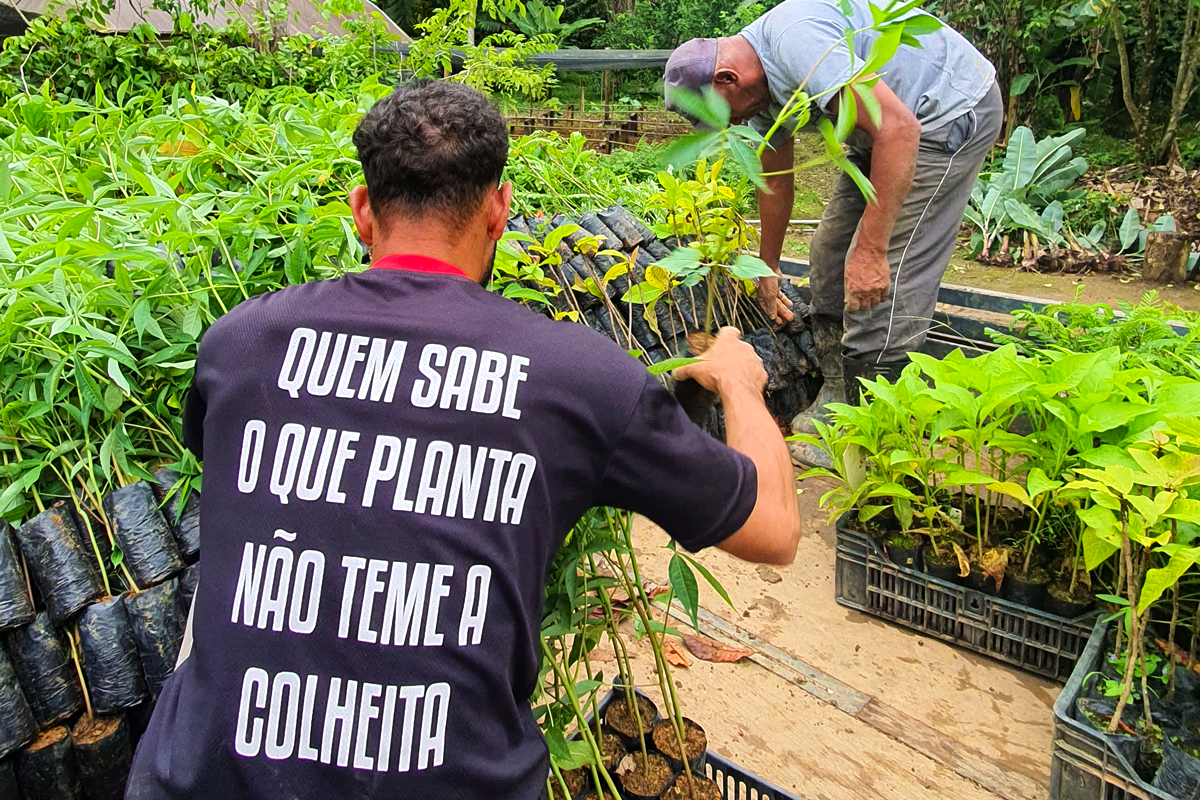 Employees of Fazenda dos Cordeiros loading a truck with native seedlings from the Atlantic Forest for the International Institute for Sustainability IIS-RJ.