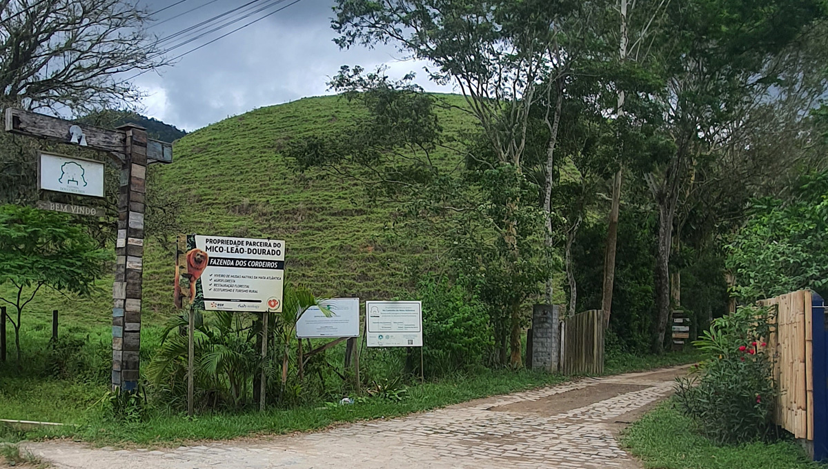 Como chegar - Estrada de acesso à Fazenda dos Cordeiros em Silva Jardim, Rio de Janeiro