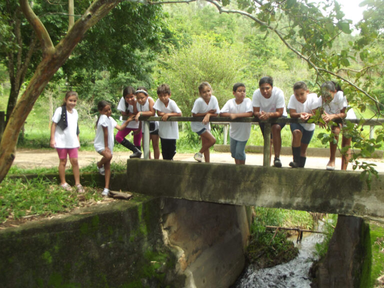 Crianças na ponte observando a natureza na fazenda dos cordeiros